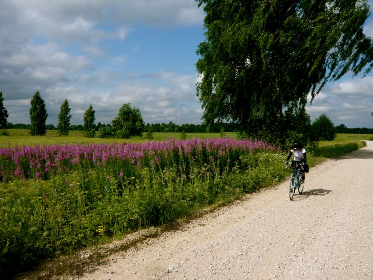 countryside in the north-western region