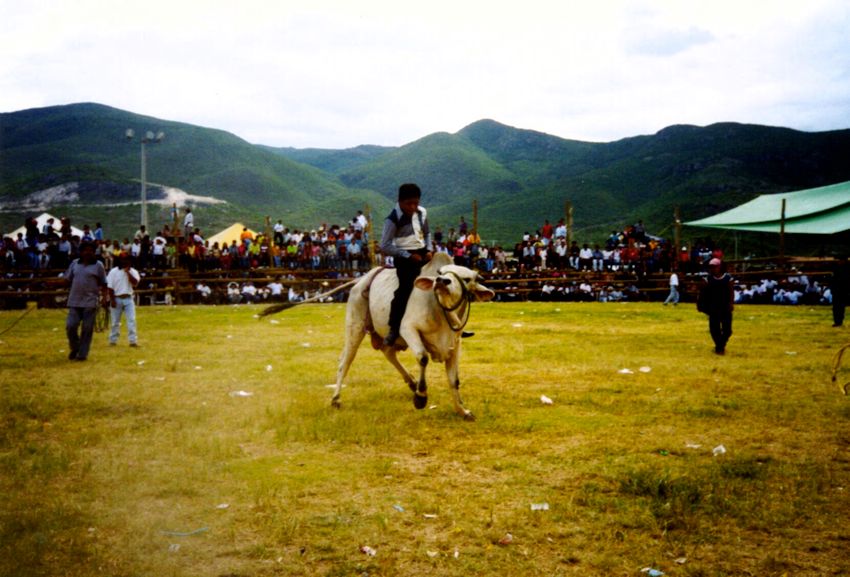 oaxaca, 2002
