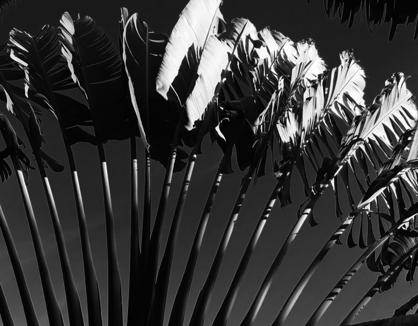 playa del carmen, 2017