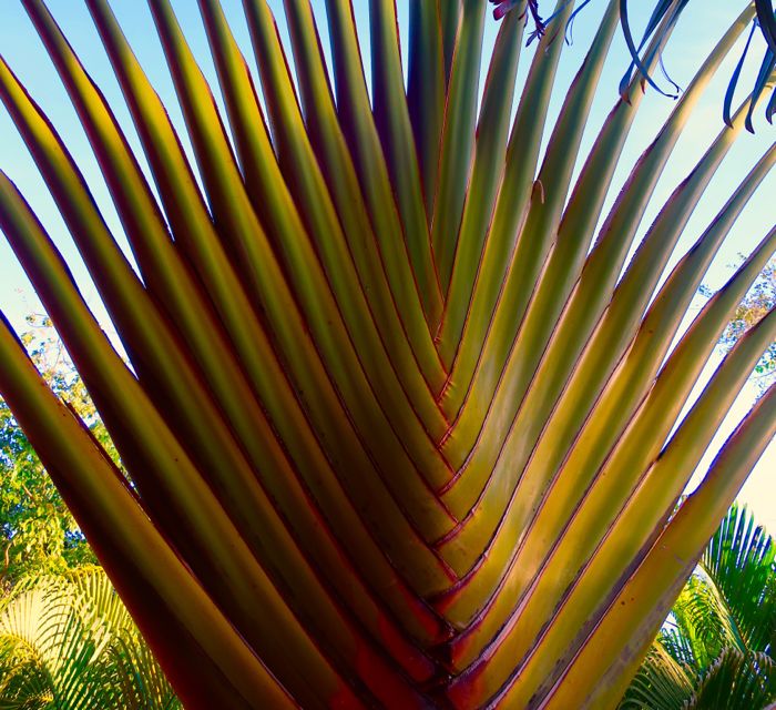 playa del carmen, 2017