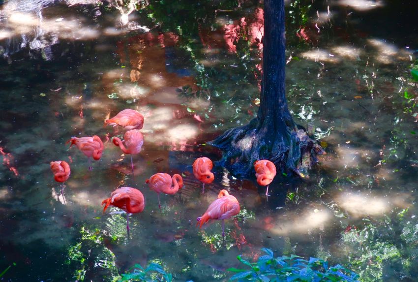 playa del carmen, 2017