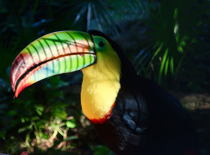 playa del carmen, 2017