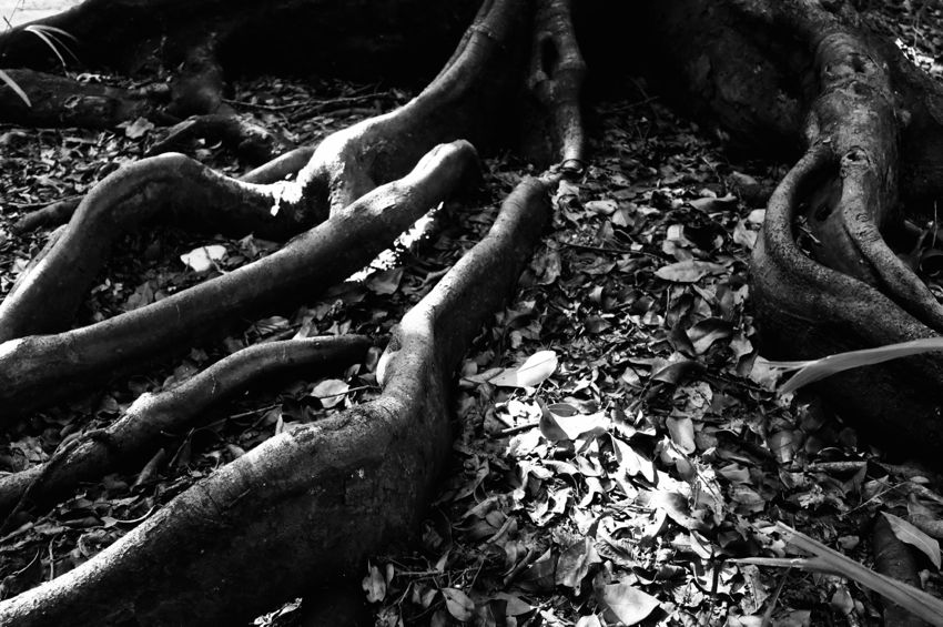 playa del carmen, 2017