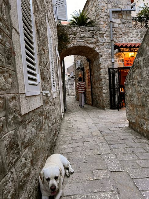 budva