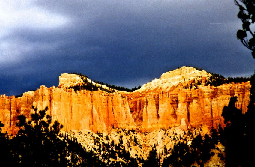 Bryce (1998)