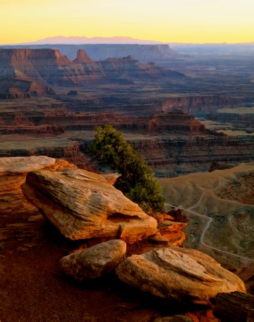 Canyonlands (2014)
