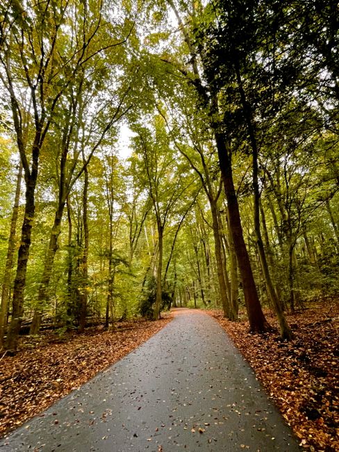 countryside by bike (2024)