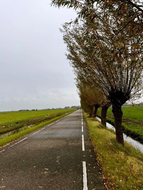 countryside by bike (2024)