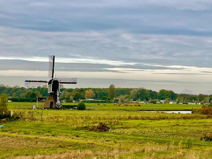 countryside by bike (2024)
