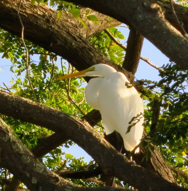 granada - las isletas