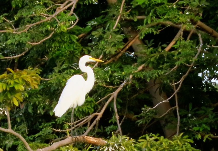 granada - las isletas