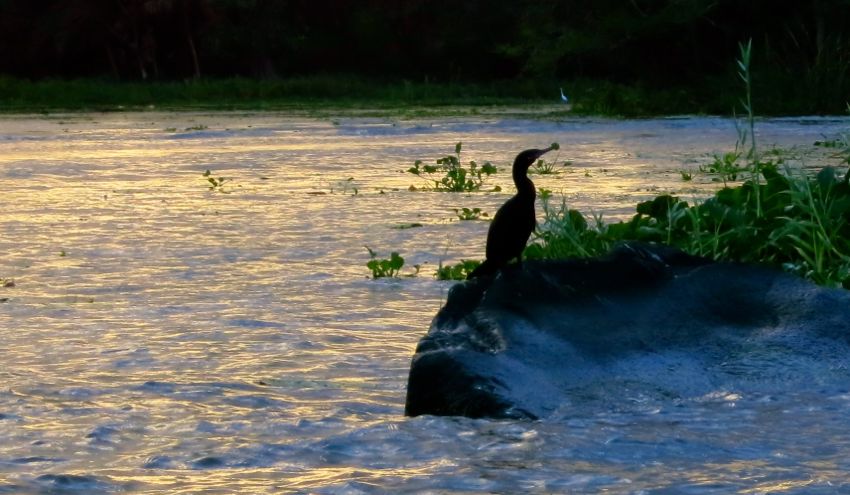 granada - las isletas