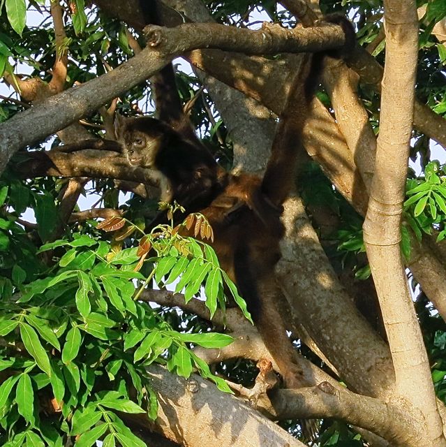 granada - las isletas