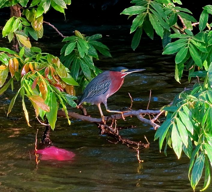 granada - las isletas