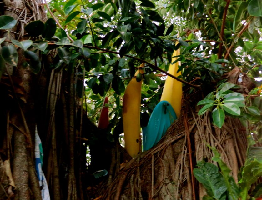 granada - las isletas