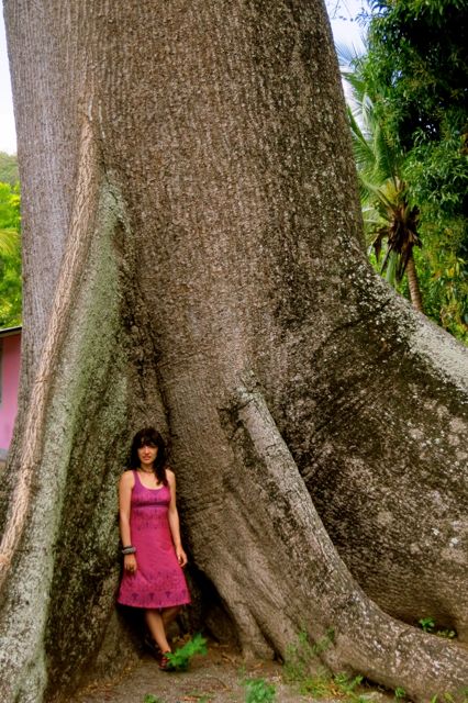 ometepe - photo by andrei f.
