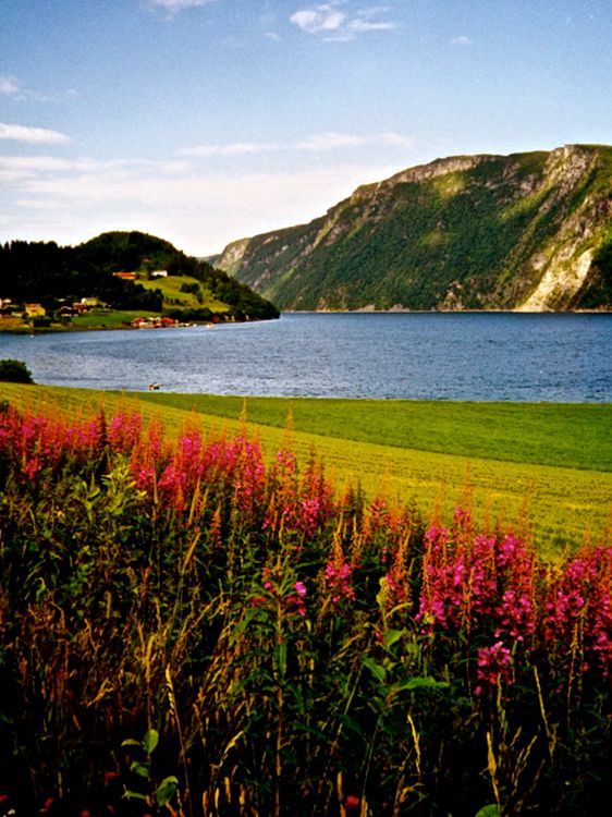 countryside south of trondheim
