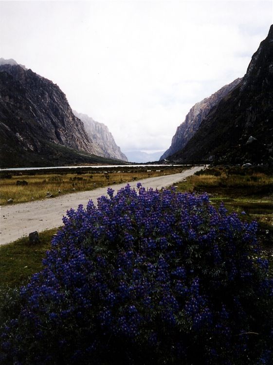lluanganuco valley