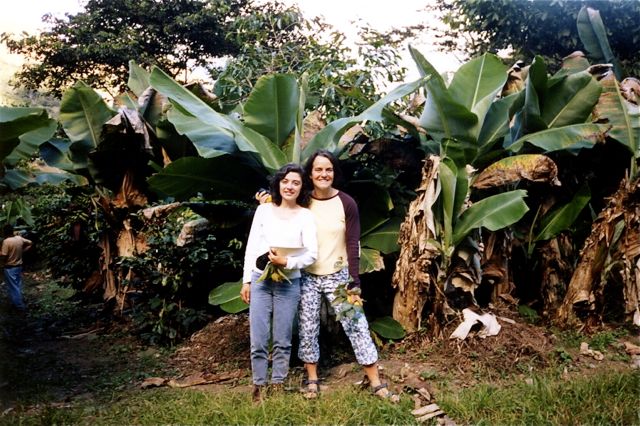 quillabamba - jungle