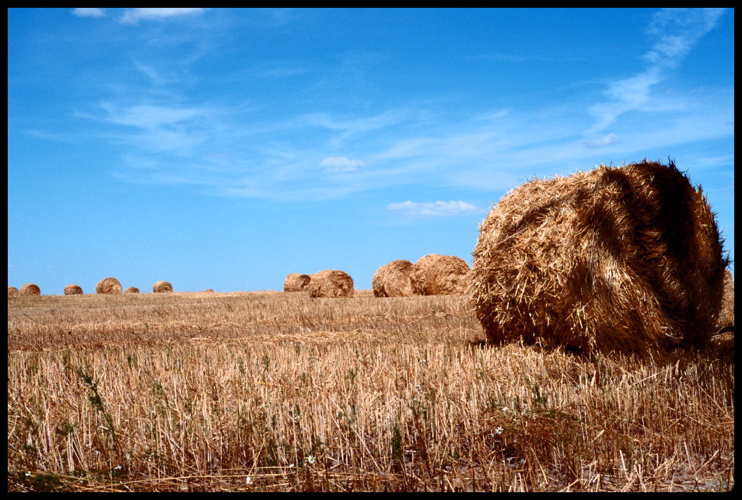 hayrolls