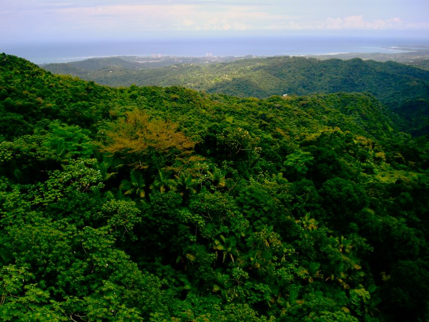 el yunque