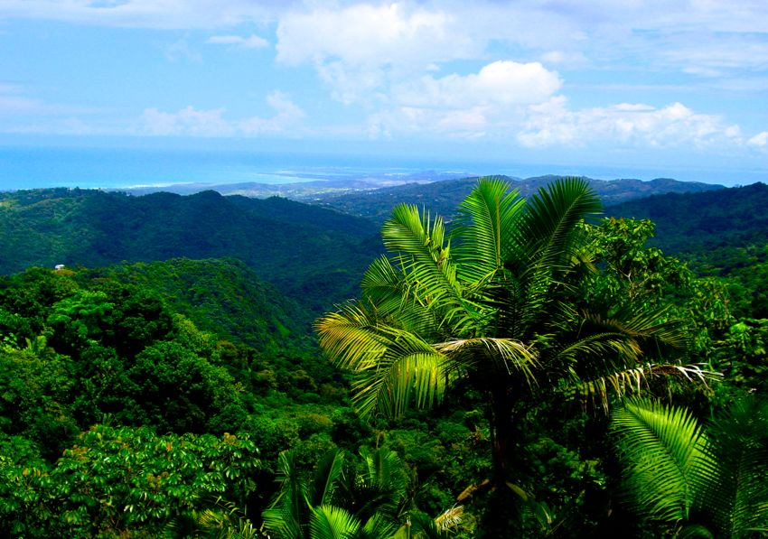 el yunque