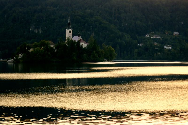 bled
