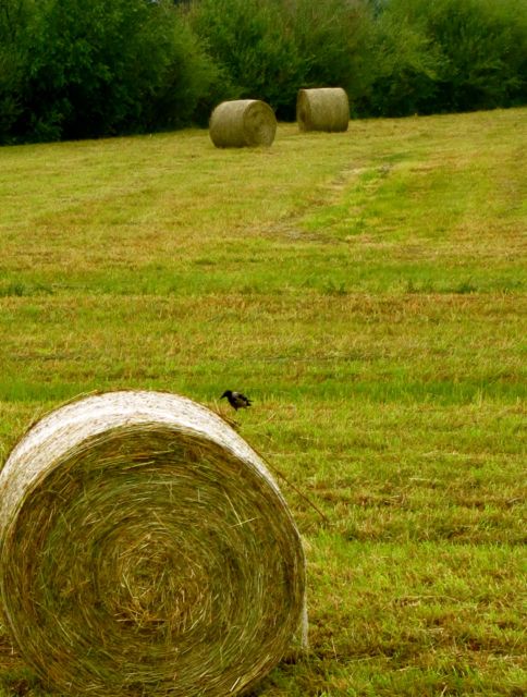 south-western contryside