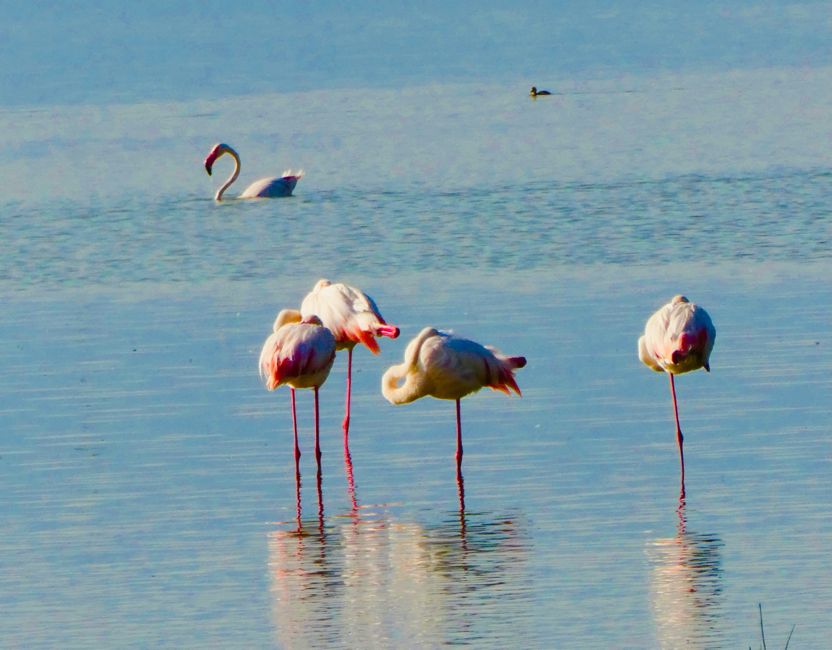 ngorongoro crater