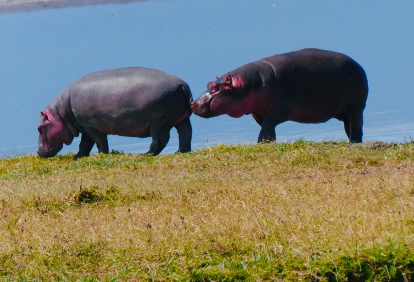 ngorongoro crater