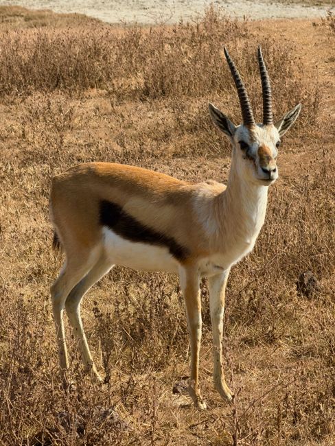 ngorongoro crater