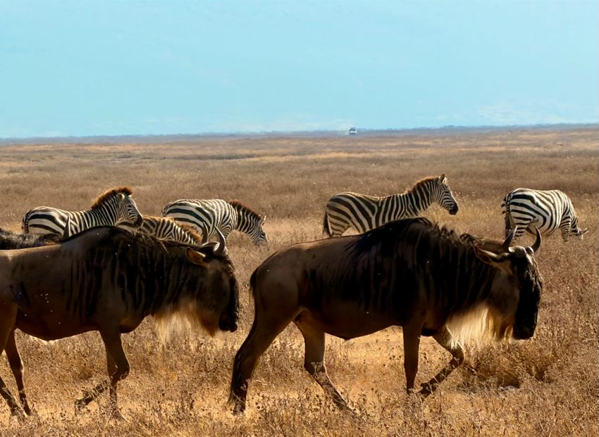 ngorongoro crater