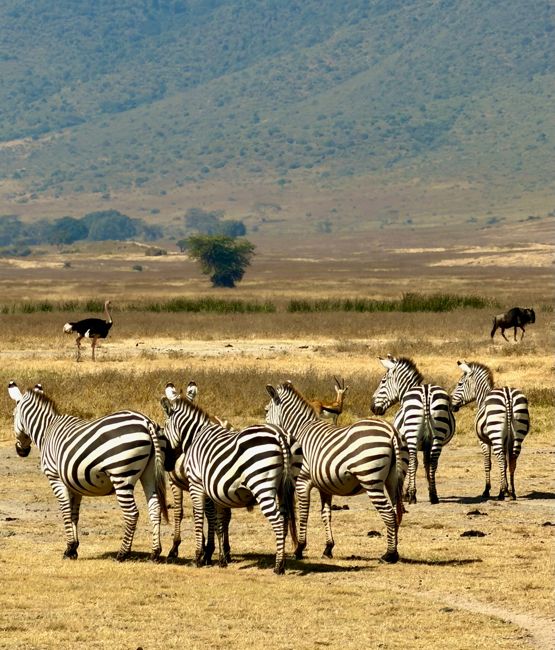 ngorongoro crater