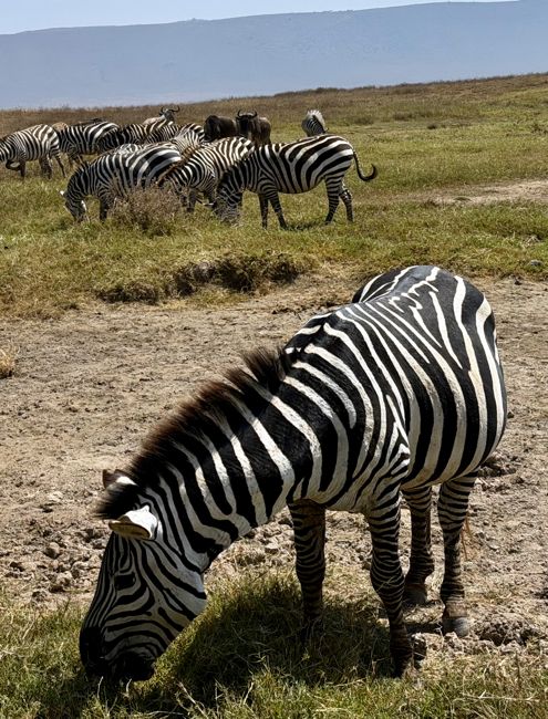 ngorongoro crater