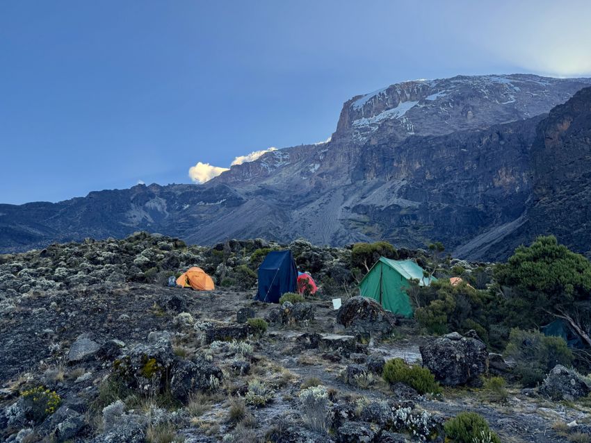 kilimanjaro climb - lemosho route
