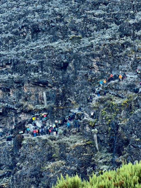 kilimanjaro climb - lemosho route