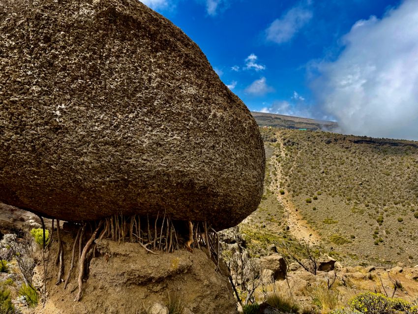 kilimanjaro climb - lemosho route