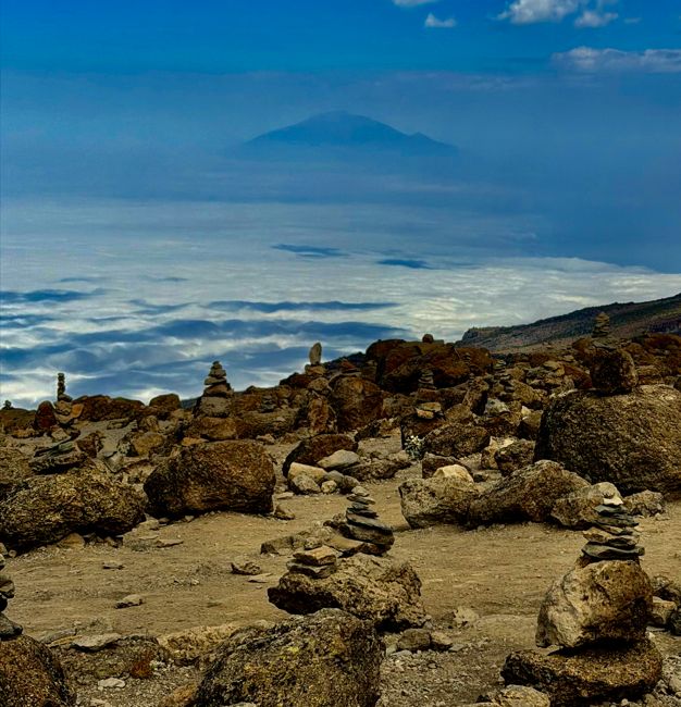 kilimanjaro climb - lemosho route