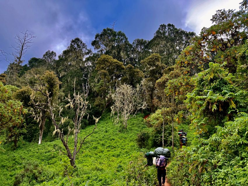 kilimanjaro climb - lemosho route