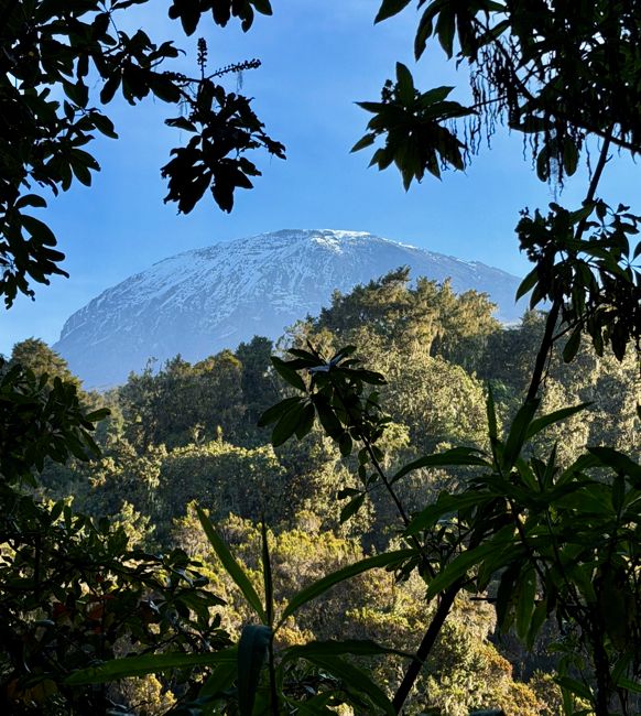 kilimanjaro climb - lemosho route
