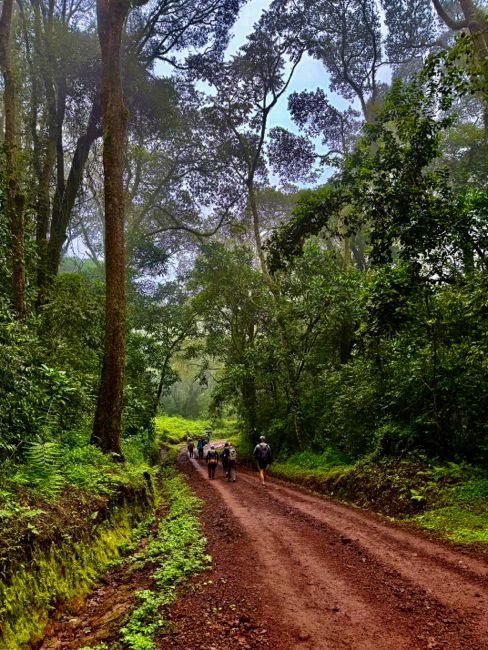 kilimanjaro climb - lemosho route