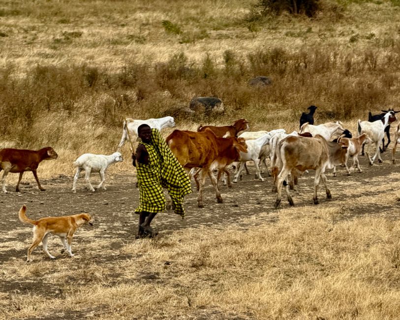 arusha area