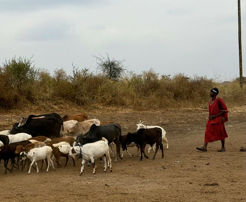 arusha area