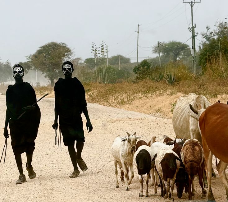 arusha area