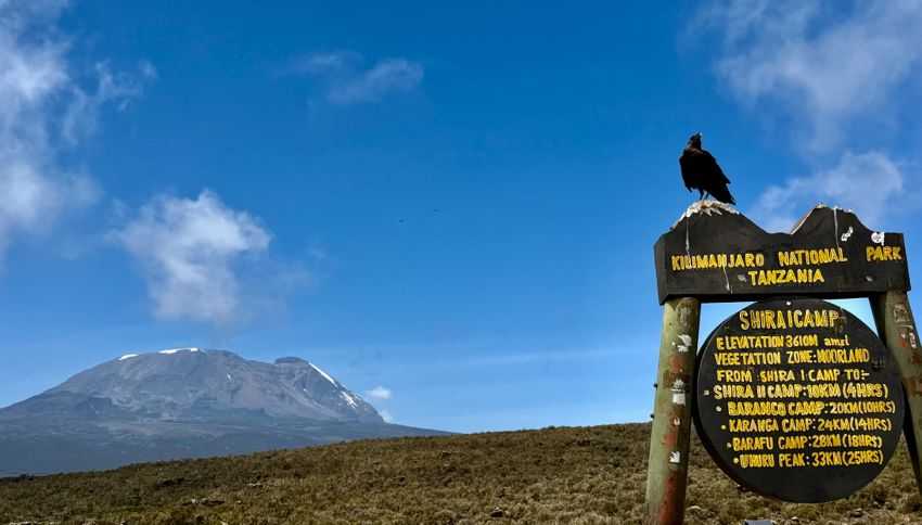 kilimanjaro climb - lemosho route