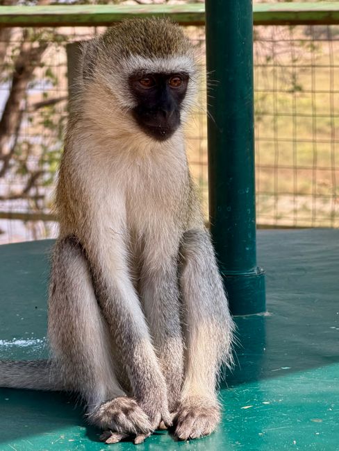 tarangire national park