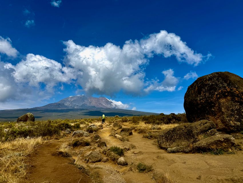 kilimanjaro climb - lemosho route