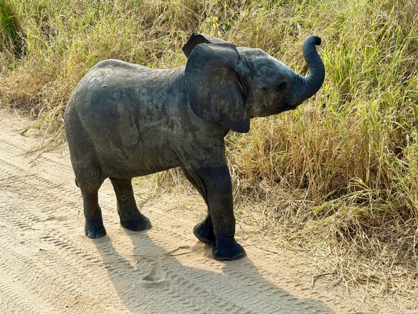 tarangire national park
