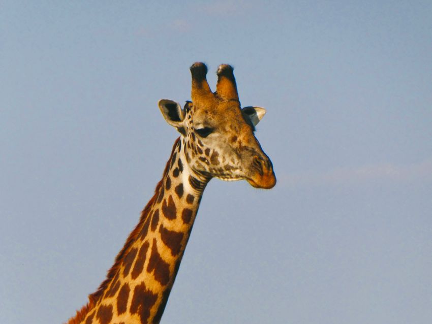 tarangire national park