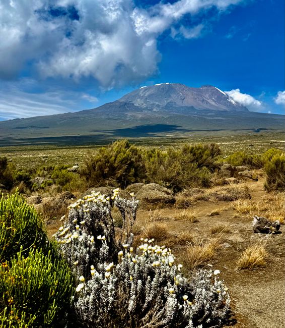 kilimanjaro climb - lemosho route
